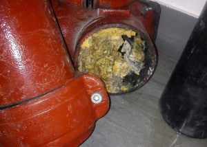Plumbing trap blocked by fats, oil and grease